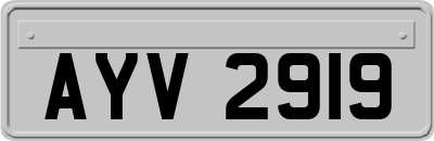 AYV2919