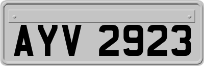 AYV2923