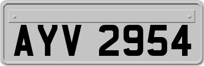 AYV2954