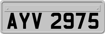 AYV2975