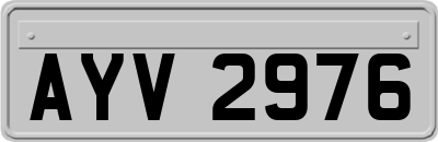 AYV2976