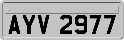 AYV2977