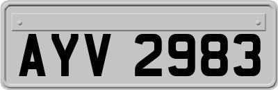 AYV2983