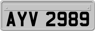 AYV2989