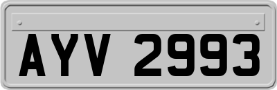 AYV2993