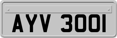 AYV3001