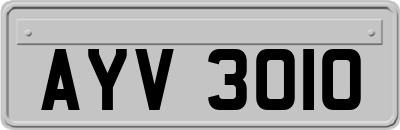 AYV3010