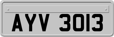 AYV3013