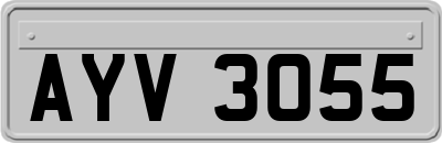 AYV3055