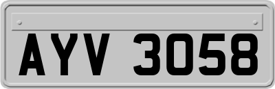 AYV3058