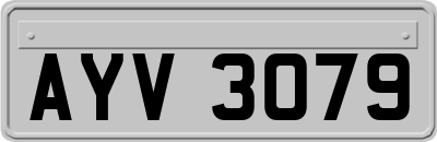AYV3079