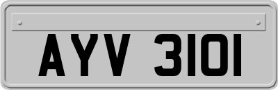 AYV3101
