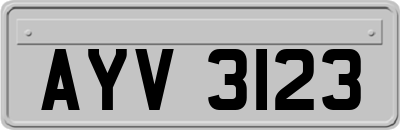 AYV3123