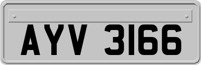 AYV3166