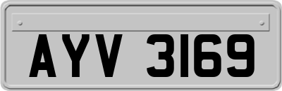 AYV3169