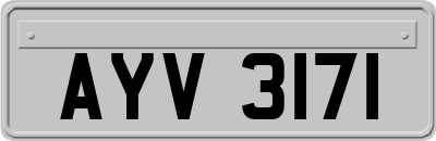 AYV3171