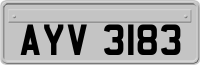 AYV3183