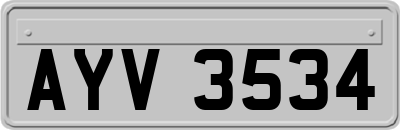 AYV3534