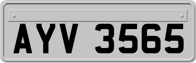AYV3565