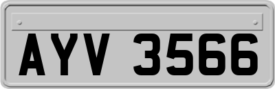 AYV3566