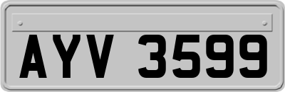 AYV3599