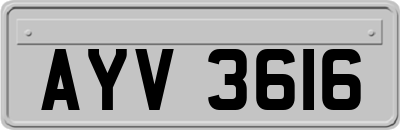 AYV3616