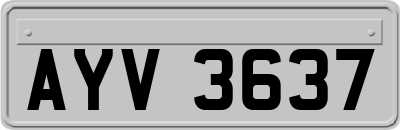 AYV3637