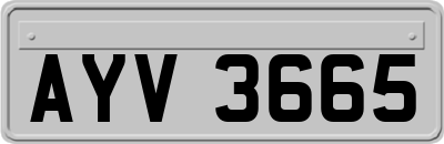 AYV3665