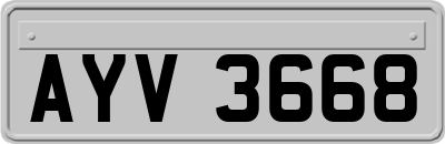 AYV3668