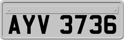AYV3736