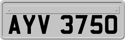 AYV3750