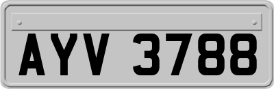 AYV3788