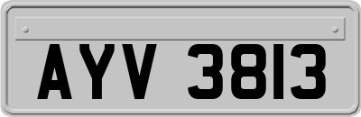 AYV3813