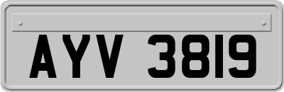 AYV3819