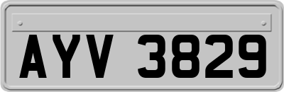 AYV3829