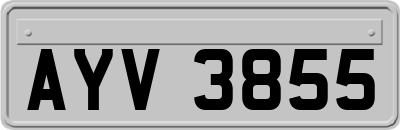 AYV3855