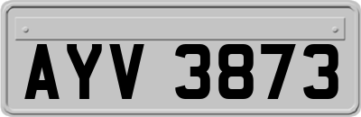 AYV3873