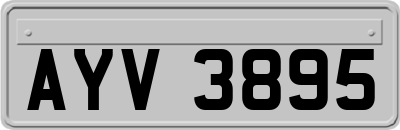 AYV3895