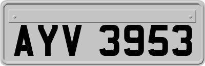 AYV3953