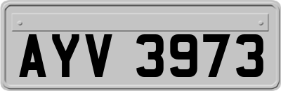 AYV3973
