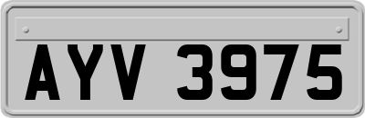 AYV3975