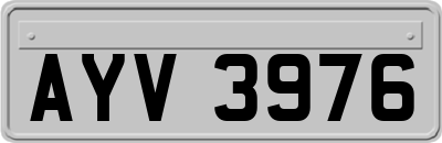 AYV3976