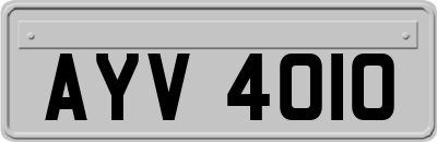 AYV4010