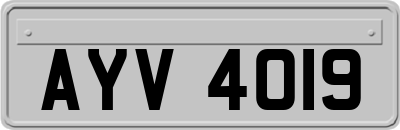 AYV4019