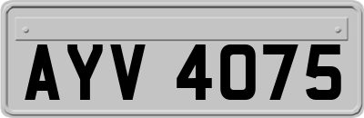 AYV4075