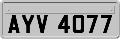 AYV4077
