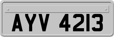 AYV4213