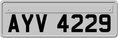AYV4229