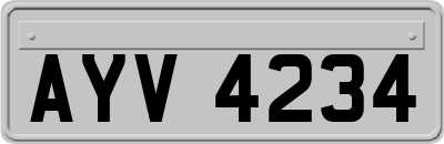 AYV4234