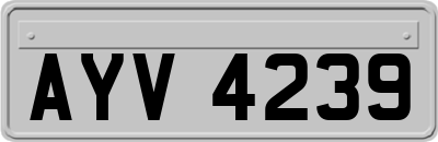 AYV4239